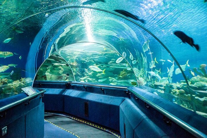 Family Island Fun (6 Days)