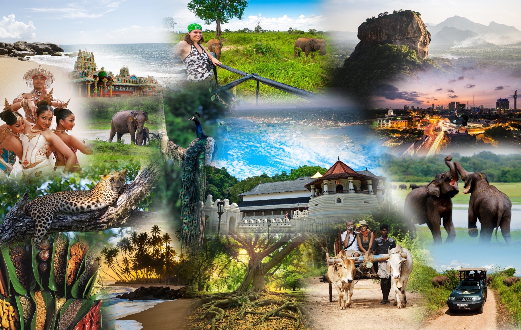 Sri Lanka Scenic & Hill Tour (5 Days / 4 Nights)